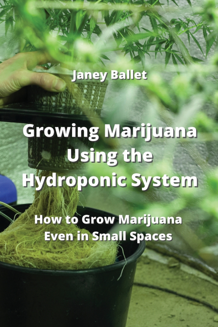Growing Marijuana Using the Hydroponic  System