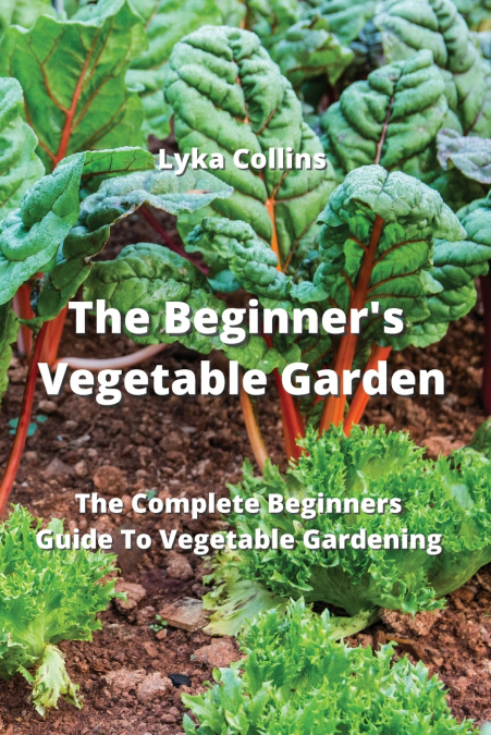 The Beginner’s Vegetable Garden