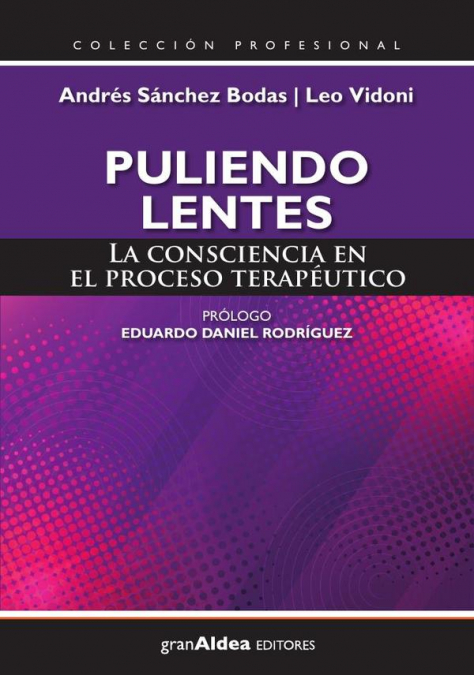 Puliendo lentes : la consciencia en el proceso terapéutico