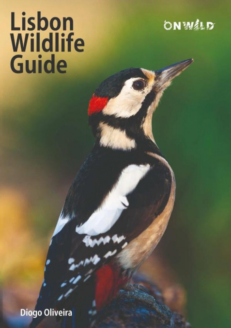 Lisbon Wildlife Guide