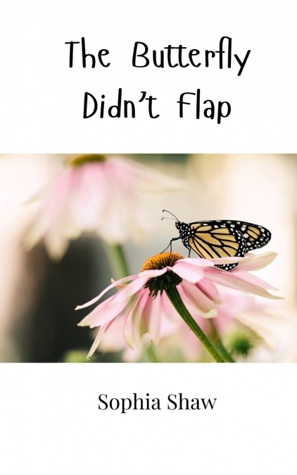 The Butterfly Didn’t Flap