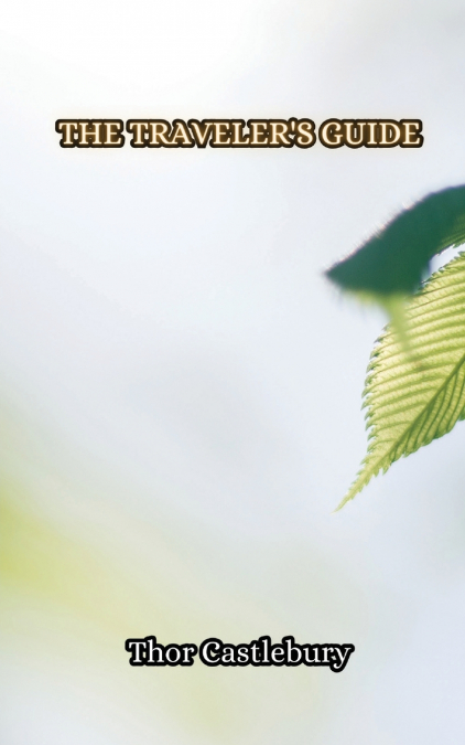 The Traveler’s Guide