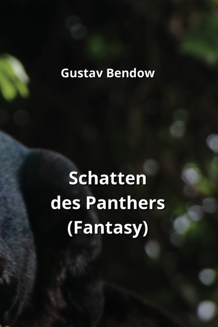 Schatten des Panthers  (Fantasy)