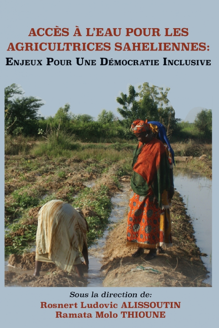 Acces A L’Eau Pour Les Agricultrices Saheliennes. Enjeux Pour Une Democratie Inclusive