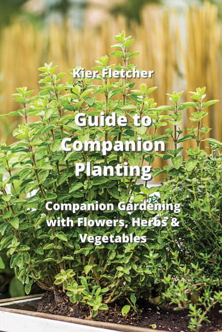 Guide to Companion Planting
