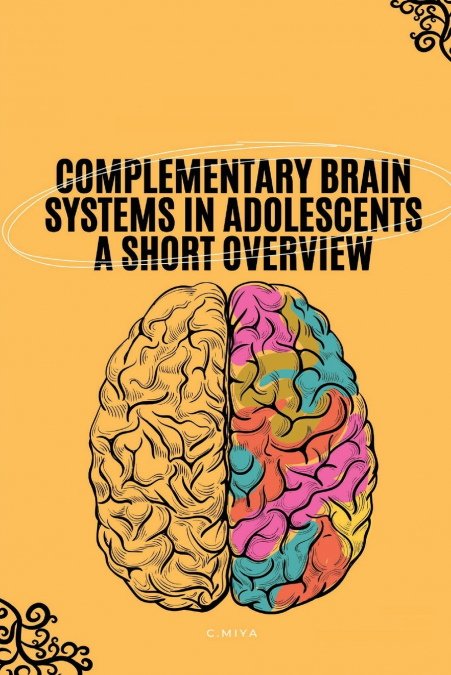 Complementary Brain Systems in Adolescents A Short Overview
