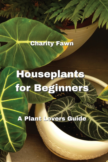 Houseplants for Beginners