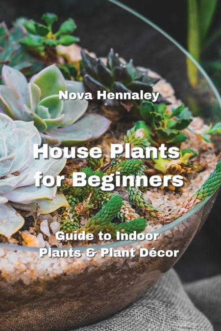 House Plants for Beginners