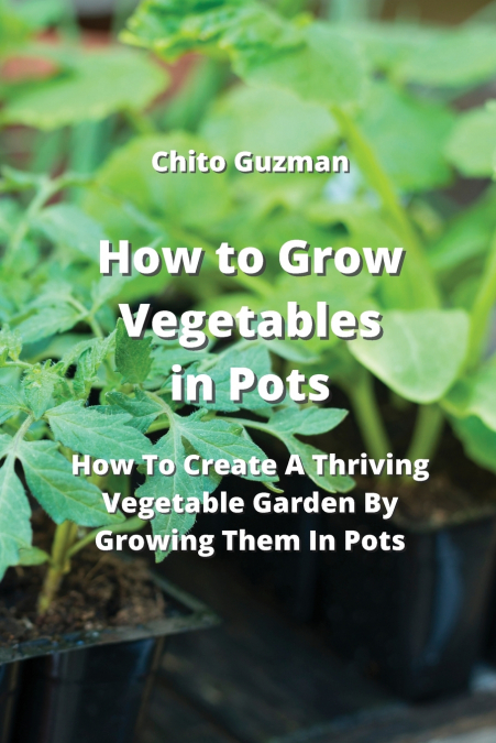 How to Grow Vegetables  in Pots