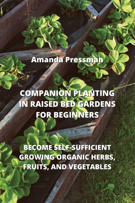 COMPANION PLANTING IN RAISED BED GARDENS FOR BEGINNERS