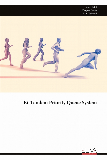Bi-Tandem Priority Queue System