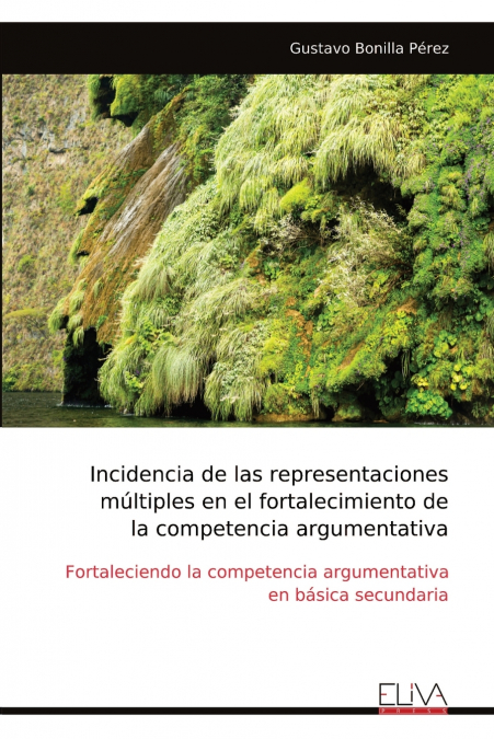 Incidencia de las representaciones múltiples en el fortalecimiento de la competencia argumentativa