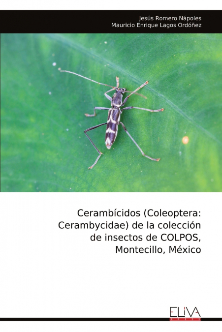 Cerambícidos (Coleoptera