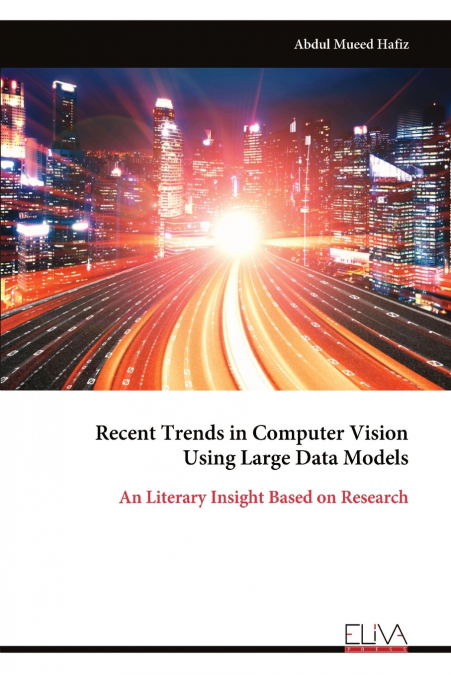 Recent Trends in Computer Vision Using Large Data Models