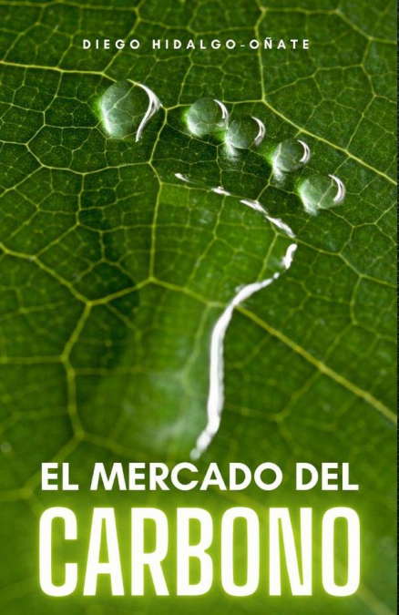 El mercado del carbono. Ensayo.