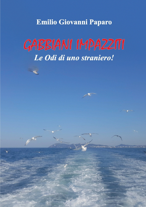 Gabbiani Impazziti