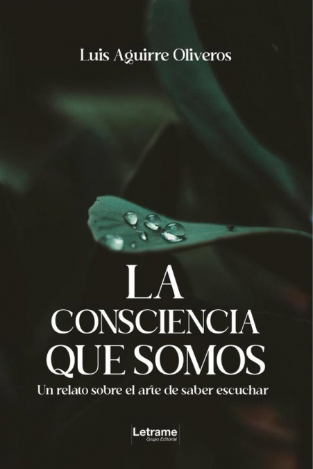 La consciencia que somos