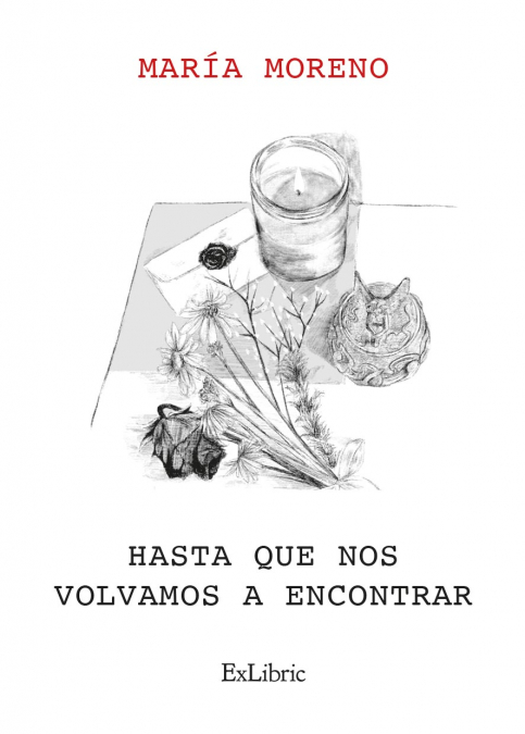 HASTA QUE NOS VOLVAMOS A ENCONTRAR