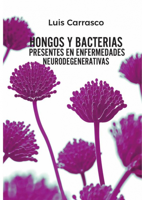 Hongos y bacterias presentes en enfermedades neurodegenerativas