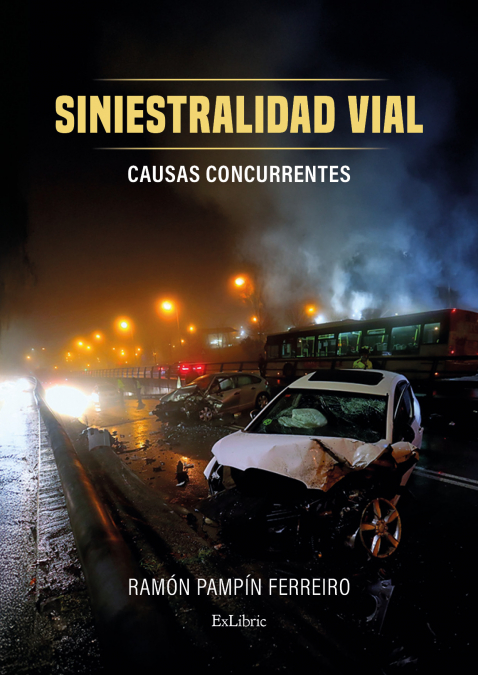 SINIESTRALIDAD VIAL. CAUSAS CONCURRENTES