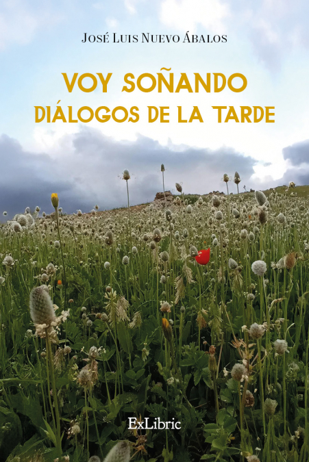 VOY SOÑANDO DIÁLOGOS DE LA TARDE