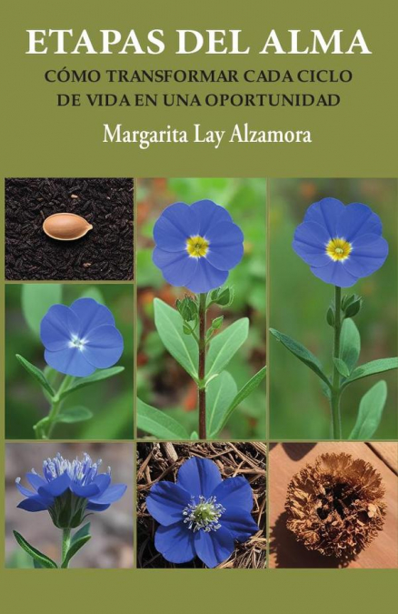 Etapas del Alma