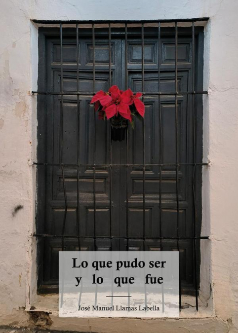 Lo que pudo ser y lo que fue