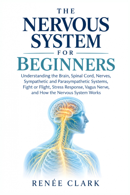 The Nervous System for Beginners