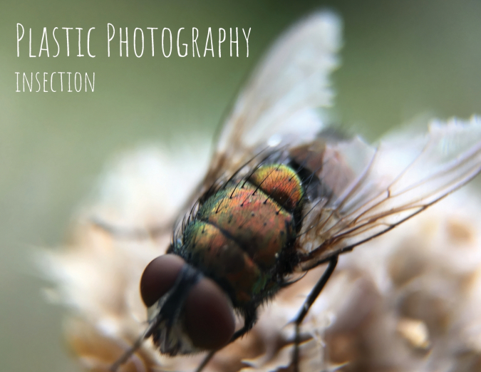 Plastic Photography