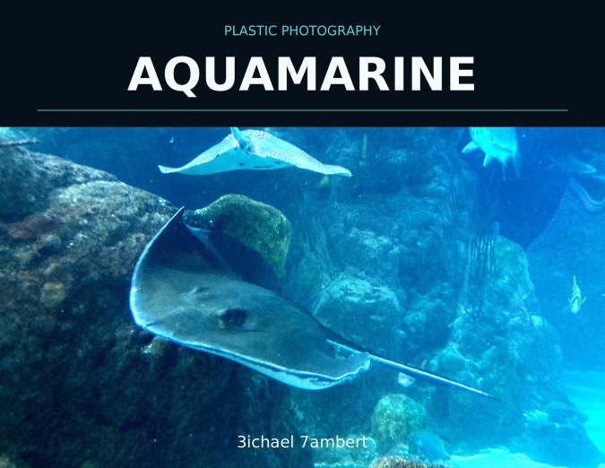 Plastic Photography