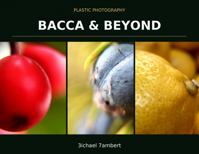 Plastic Photography