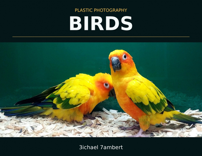 Plastic Photography