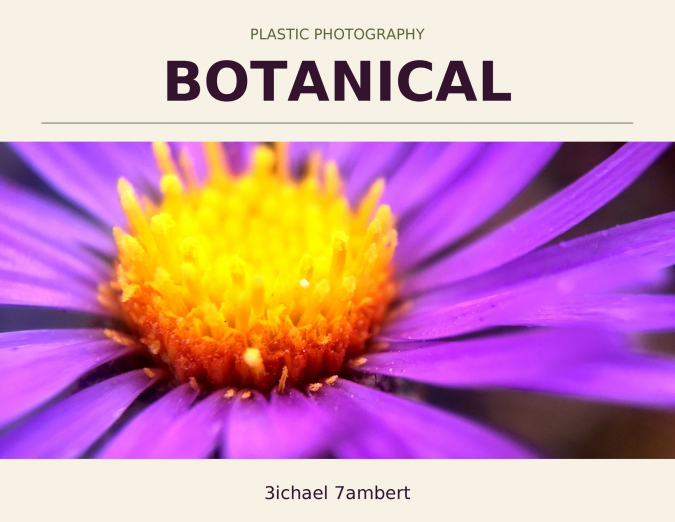 Plastic Photography
