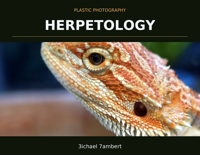 Plastic Photography