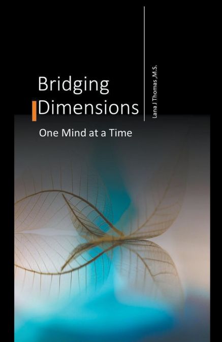 Bridging Dimensions One Mind at a Time