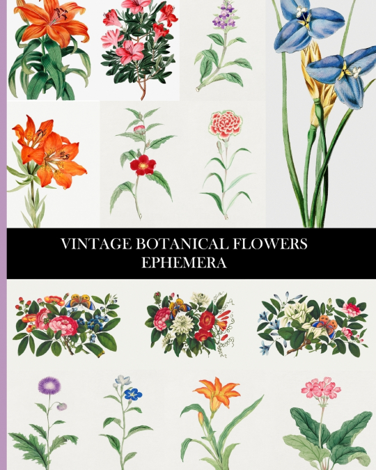 Vintage Botanical Flowers Ephemera