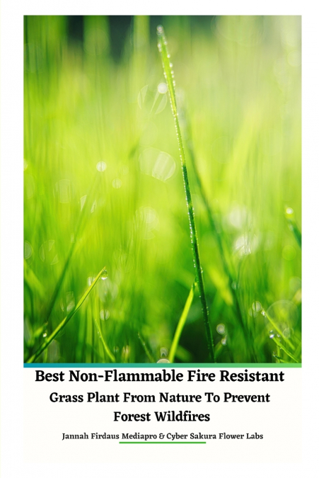 Best Non-Flammable Fire Resistant Grass Plant From Nature to Prevent Forest Wildfires