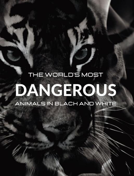 The World’s most DANGEROUS ANIMALS in Black and White