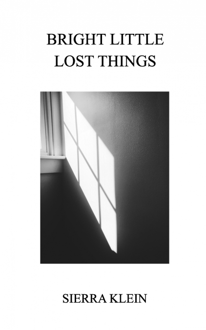 Bright Little Lost Things