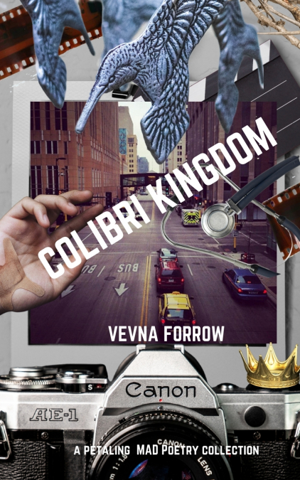 Colibri Kingdom