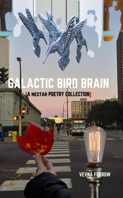 Galactic Bird Brain