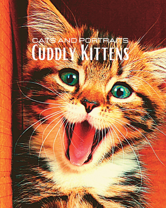 CATS and PORTRAITS  - Cuddly Kittens