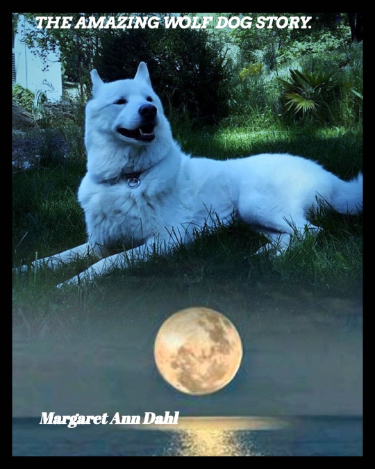 The amazing Wolf Dog Story
