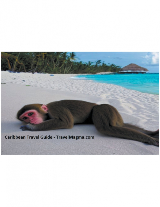 Caribbean Travel Guide - Explore the Caribbean Islands