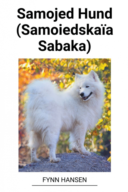Samojed Hund (Samoiedskaïa Sabaka)
