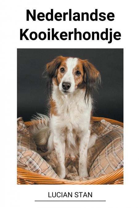Nederlandse Kooikerhondje