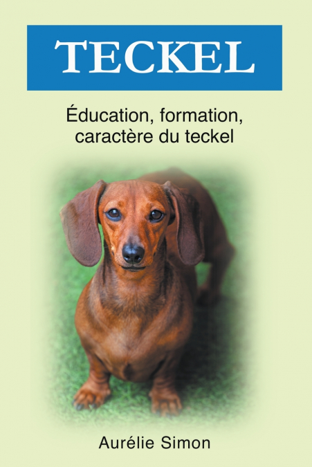 Teckel - Éducation, Formation, Caractère