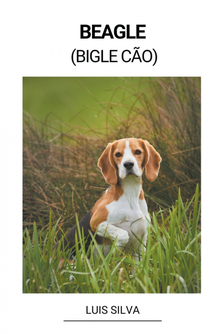 Beagle (Bigle Cão)