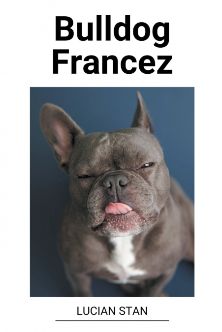 Bulldog Francez