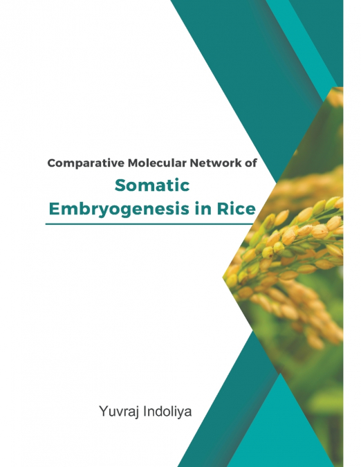 Comparative Molecular Network of Somatic Embryogenesis in Rice